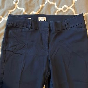 EUC Loft outlet skinny ankle chinos